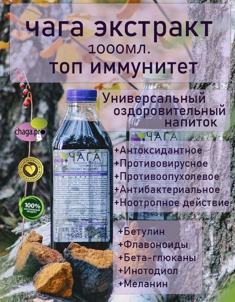 Chaga Extract 1000ml (Plastic Bottle) - Economical