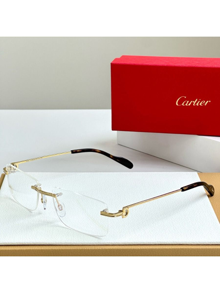 Cartier CT0259 Titanium Eyeglass Frames