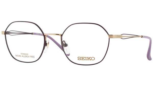 Seiko T7038-013 Titanium Watch Frame