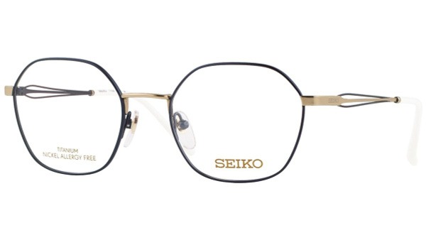 Seiko T7038-013 Titanium Watch Frame