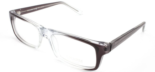 CHARM 512 Grey Eyeglass Frames