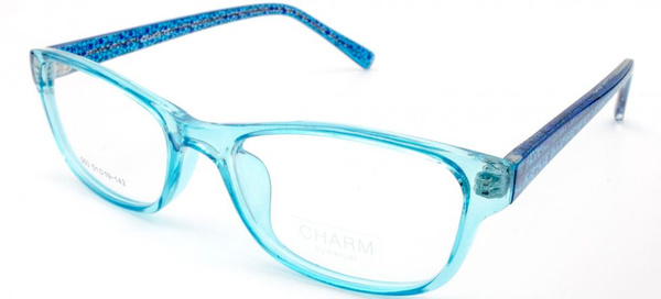 CHARM 553 C8 Eyeglass Frames