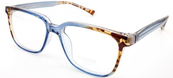 CHARM 556 C4 Eyeglass Frames