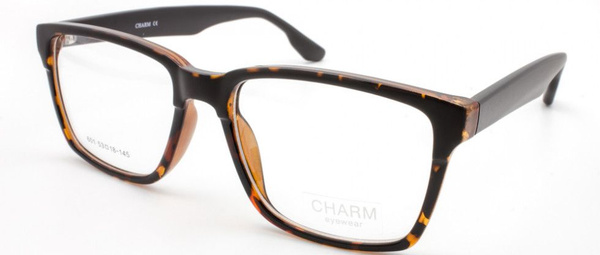 CHARM 601 C6 Eyeglass Frames