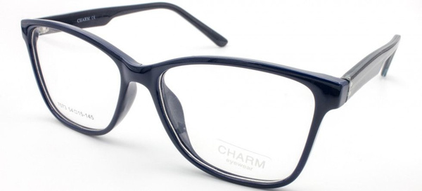 CHARM 7073 C4 Eyeglass Frames
