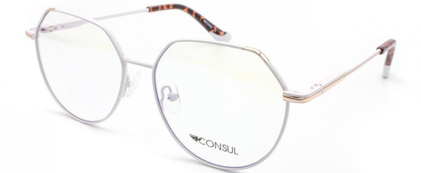 Consul 3013 C5 Eyeglass Frames