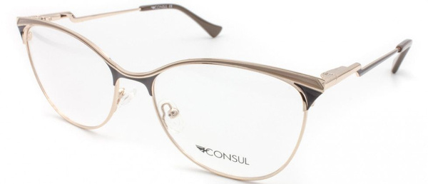 Consul 3819 C2 Eyeglass Frames