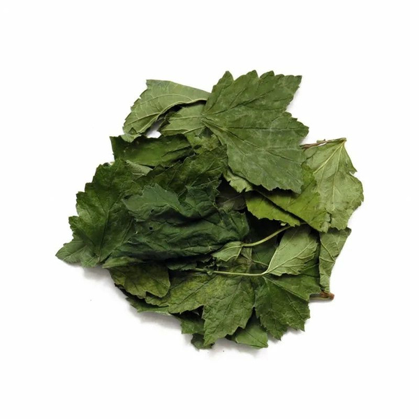 Organic Blackcurrant Leaves 50g - 2024 Harvest