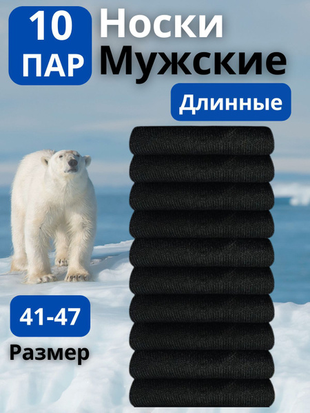 Tonlami Socks: 10-Pack Value Set