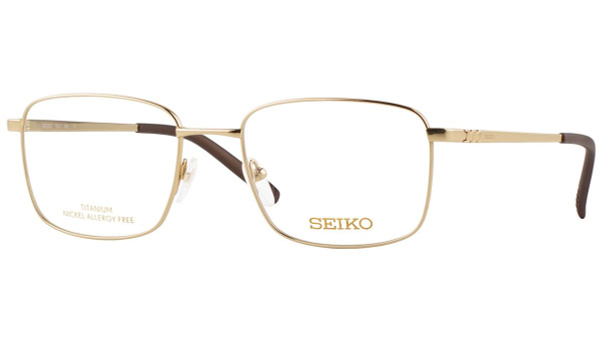 Seiko T9017 002 Titanium Watch Frame