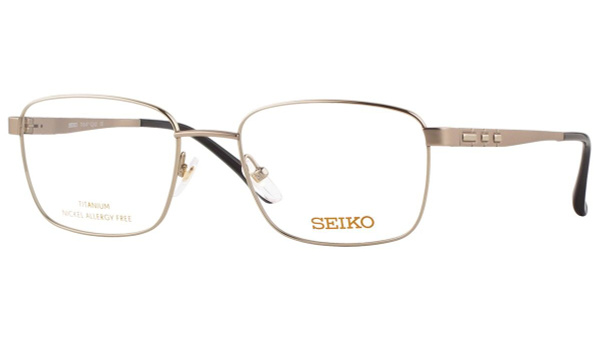 Seiko T9049-002 Titanium Watch Frame