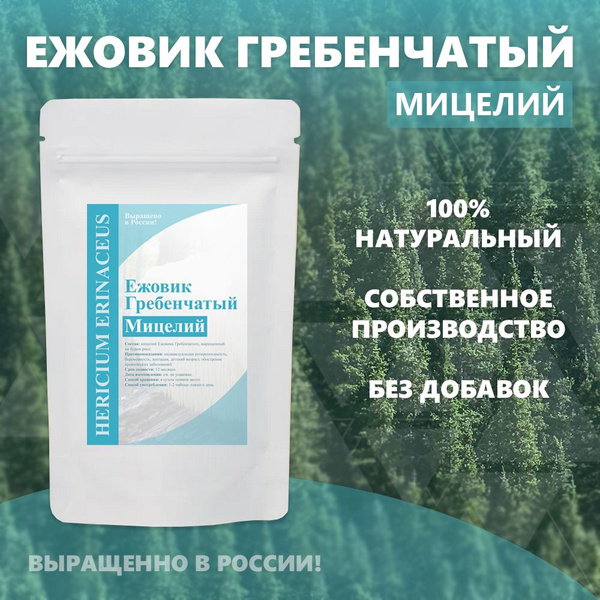 Lion's Mane Mushroom Mycelium - 100g