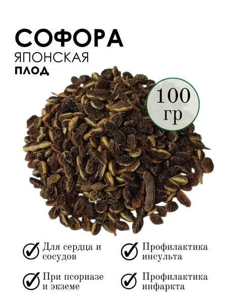 Japanese Pagoda Tree Fruit (100g)