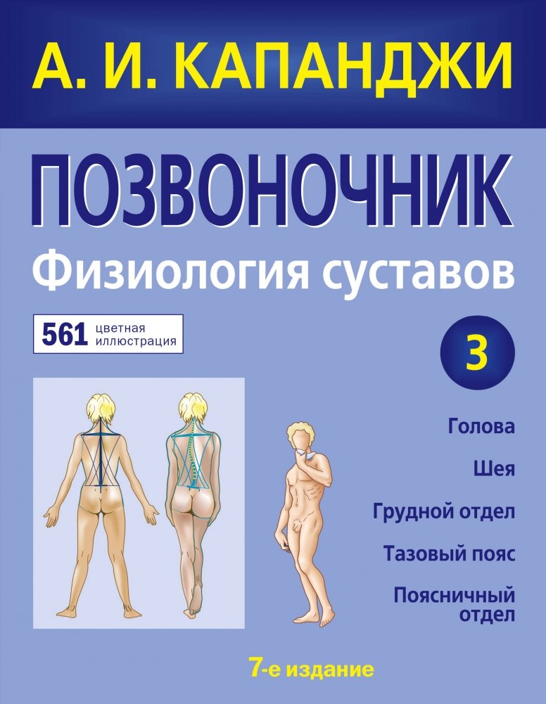 Позвоночник. Физиология суставов | Spine. Joint Physiology