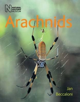 Паукообразные | Arachnids