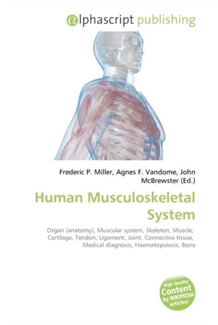 Human musculoskeletal system | Human Musculoskeletal System