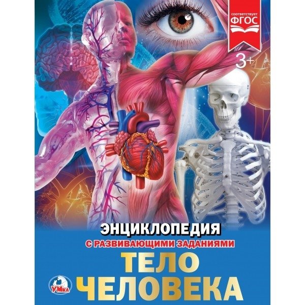 Тело человека. Энциклопедия | Human Body. Encyclopedia