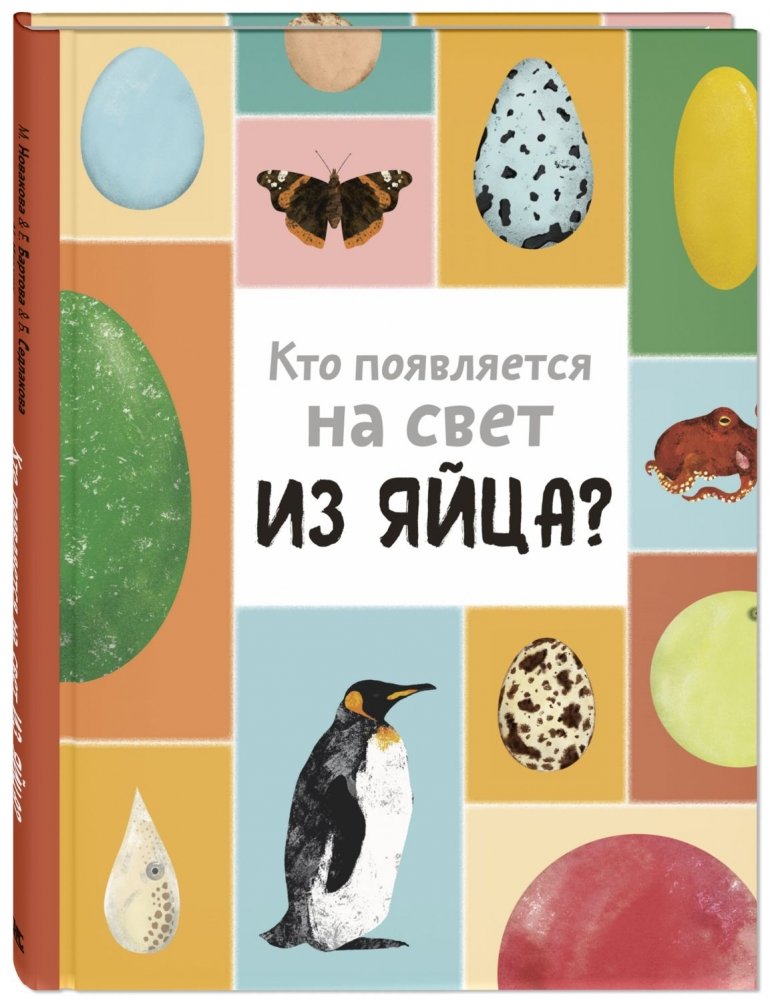 Кто появляется на свет из яйца? | Who Hatches from an Egg?