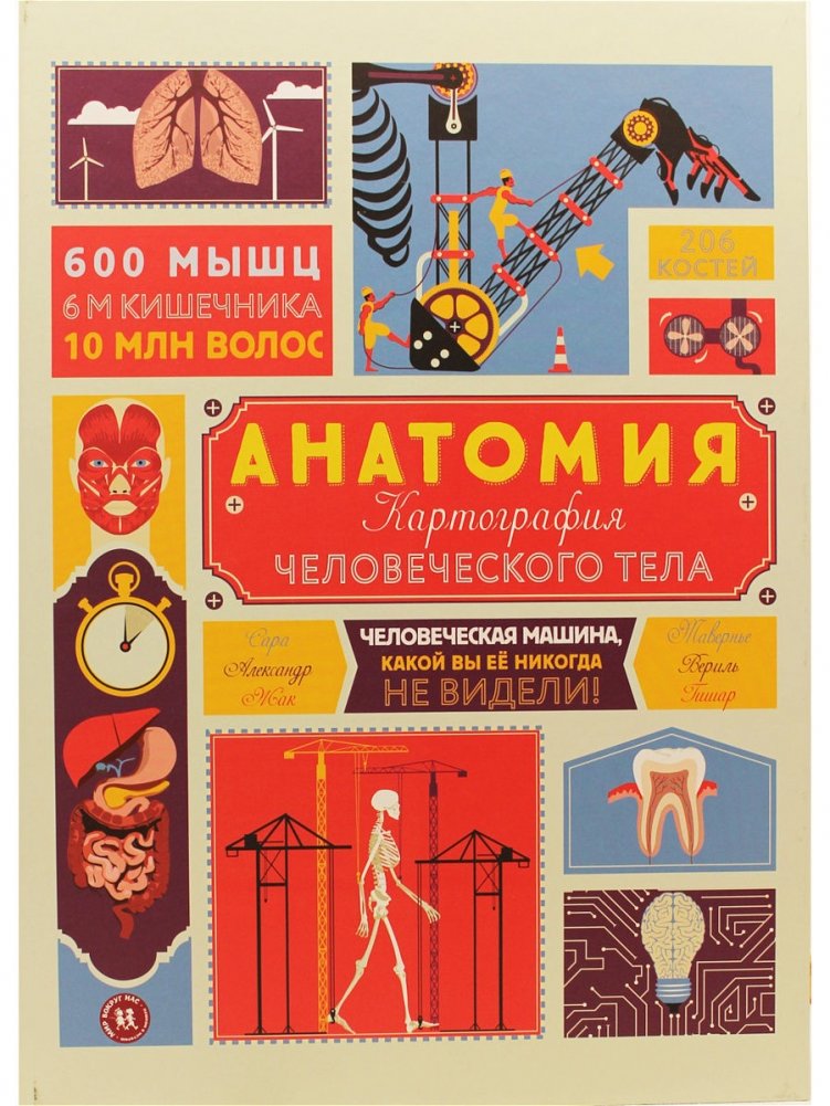 Анатомия. Картография человеческого тела | Anatomy: Cartography of the Human Body