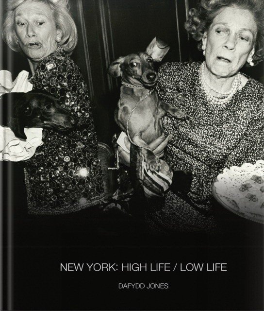 Нью-Йорк: высокая жизнь / низкая жизнь | New York: High Life / Low Life