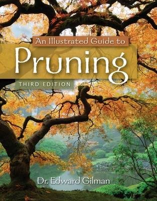 Иллюстрированное руководство по обрезке | An Illustrated Guide to Pruning