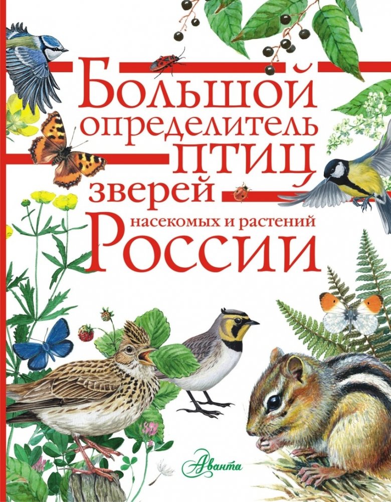 Большой определитель птиц, зверей, насекомых и растений России | A Comprehensive Guide to Birds, Animals, Insects, and Plants of Russia