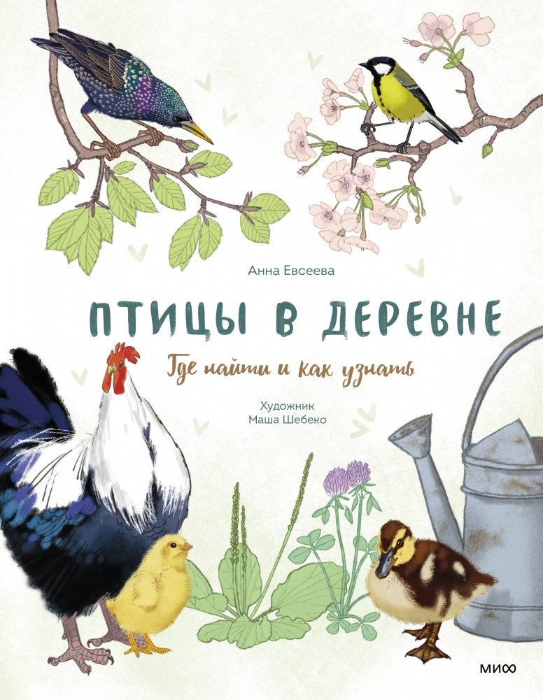 Птицы в деревне. Где найти и как узнать | Birds in the Village: Where to Find and How to Identify Them