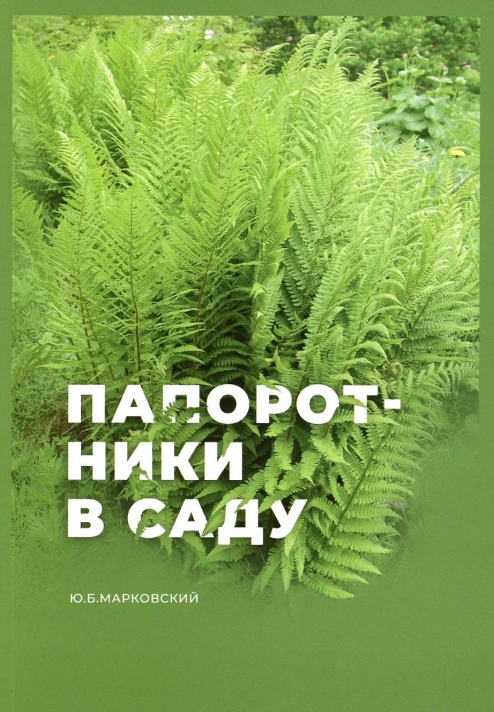 Папоротники в саду | Ferns in the Garden