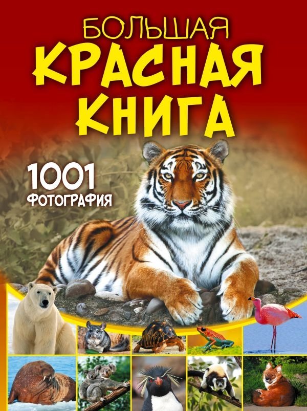 Большая красная книга. 1001 фотография | The Big Red Book: 1001 Photographs