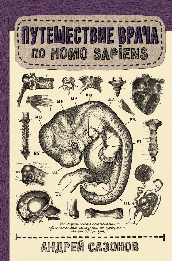 Путешествие врача по Homo Sapiens | A Doctor's Journey Through Homo Sapiens