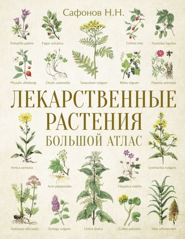 Лекарственные растения. Большой атлас | Medicinal Plants: A Comprehensive Atlas