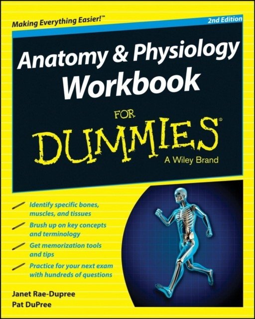 Анатомия и Физиология Рабочая тетрадь для Чайников | Anatomy and Physiology Workbook For Dummies