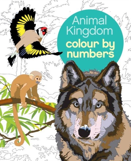 Colour by Numbers: Animal Kingdom | Colour by Numbers: Animal Kingdom