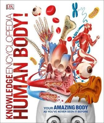 Энциклопедия знаний. Человеческое тело! | Knowledge Encyclopedia: Human Body