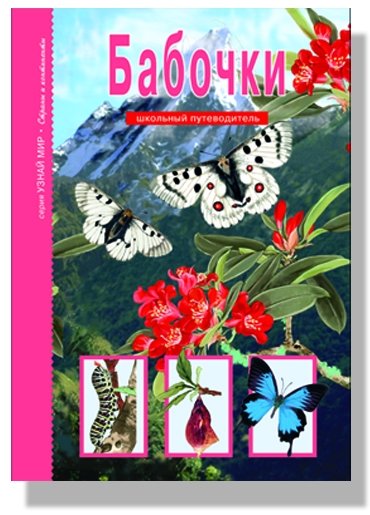 Бабочки. Школьный путеводитель | Butterflies. A School Guide