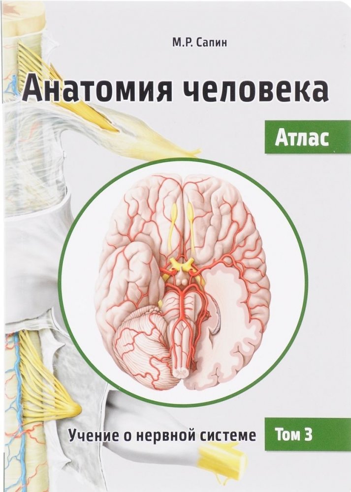 Анатомия человека. Атлас. Том III. Учение о нервной системе | Human Anatomy Atlas. Volume III. Study of the Nervous System