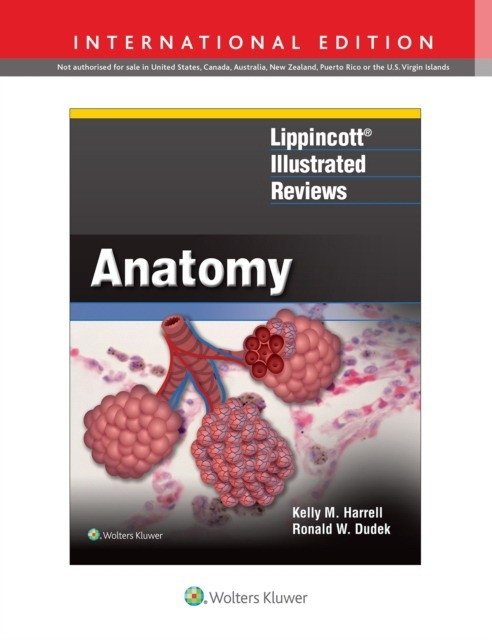 Lippincott Illustrated Reviews: Anatomy, 1e | Lippincott Illustrated Reviews: Anatomy, 1e