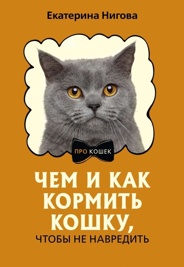 Чем и как кормить кошку, чтобы не навредить | What and How to Feed Your Cat Without Harming It