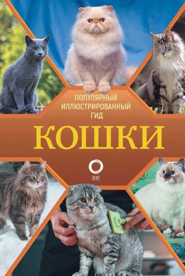 Кошки | Cats