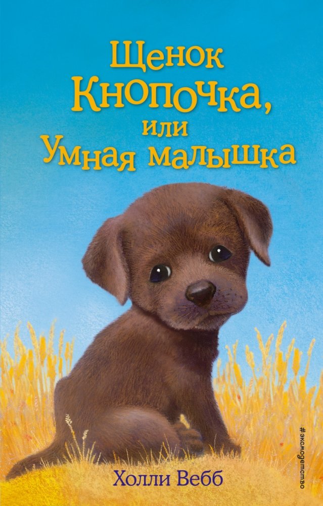 Щенок Кнопочка, или Умная малышка | Button the Puppy, or The Clever Little Girl