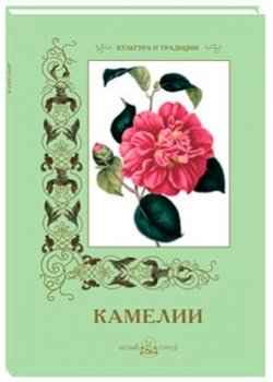 Камелии | Camellias