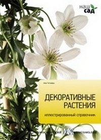 Декоративные растения | Decorative Plants