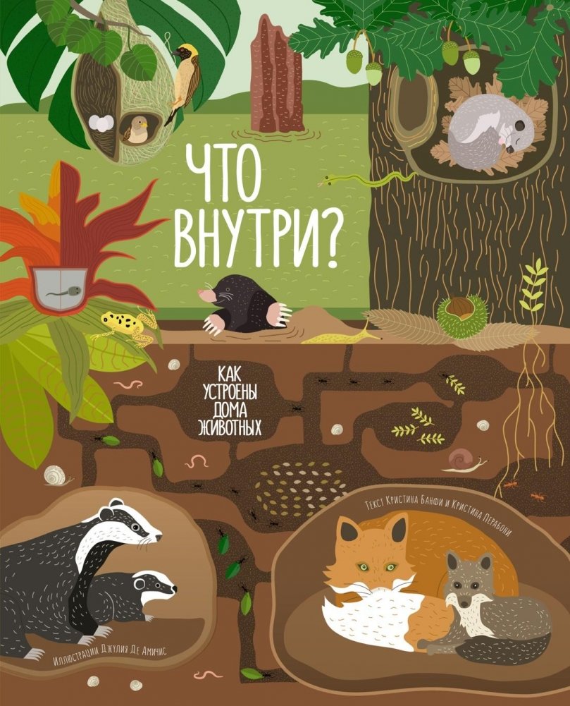 Что внутри? Как устроены дома животных | What's Inside? How Animal Homes Are Built
