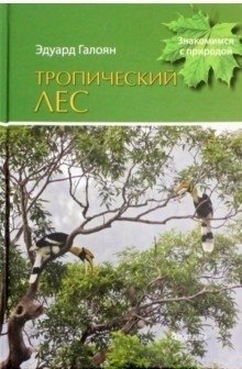 Тропический лес | The Tropical Rainforest