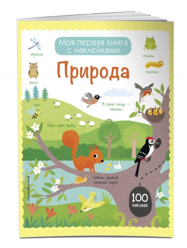 Природа (с наклейками) | Nature (with Stickers)