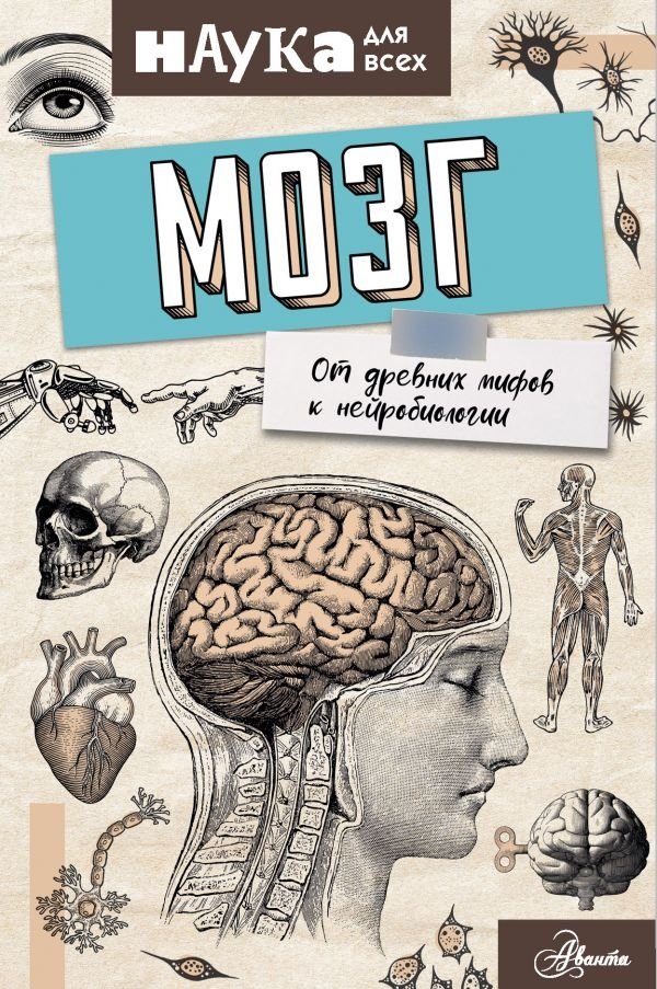 Мозг. От древних мифов к нейробиологии | The Brain: From Ancient Myths to Neuroscience