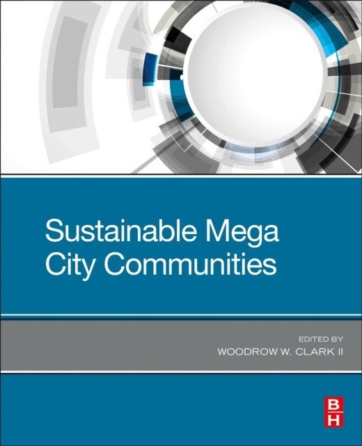 Clark-HT-Building Sustainable Megacities | Building Sustainable Megacities