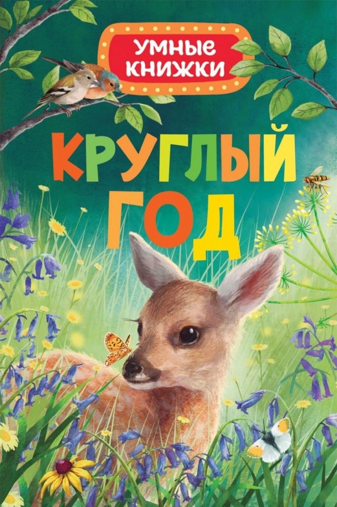 Круглый год | All Year Round