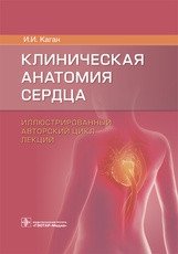 Клиническая анатомия сердца. Иллюстрированный авторский цикл лекций | Clinical Anatomy of the Heart: Illustrated Lecture Series