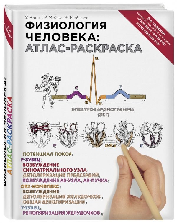 Физиология человека: атлас-раскраска | Human Physiology: Coloring Atlas